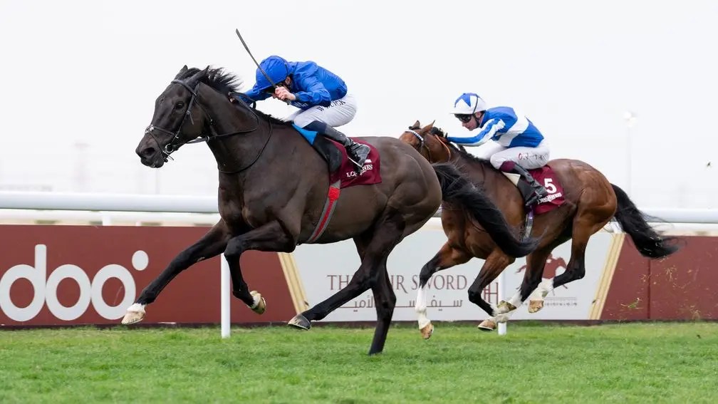 酋長錦標，桀驁之戀一度退出比賽但照贏