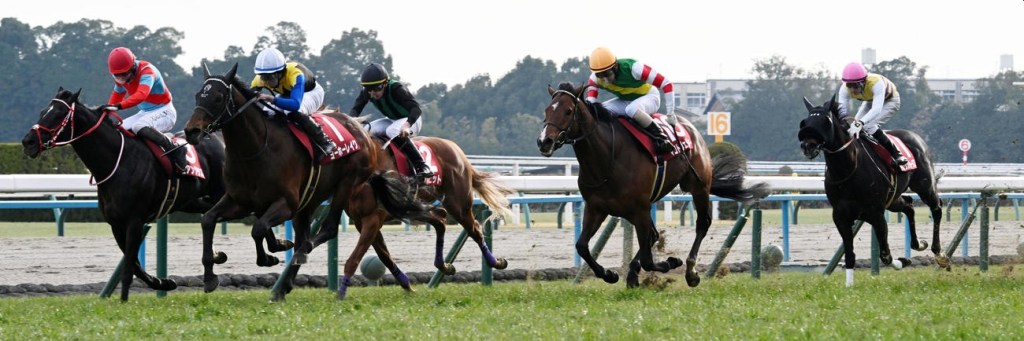 京都紀念賽，優鶴湖再度久休復出贏馬，雪嶺熱點完全無影