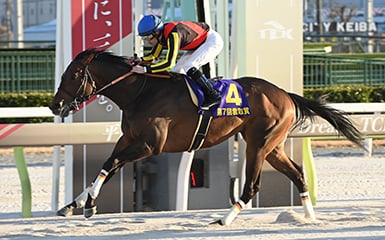 每日賽馬晚報（2025年2月19日），🇫🇷凱旋門大賽暫不開放「公公」角逐，🇯🇵Janadriyah雲取賞輕鬆取勝