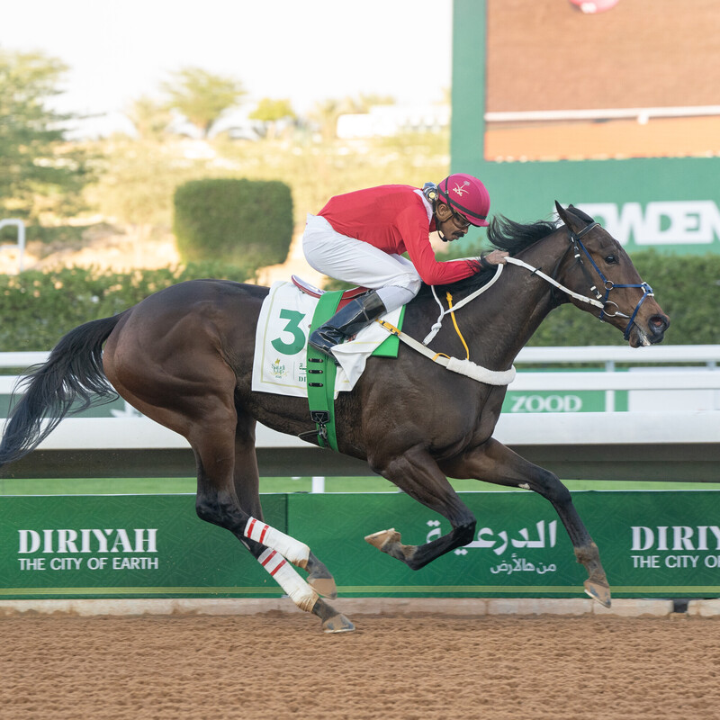 世界騎師巡迴賽由草擬到取消只是笑話