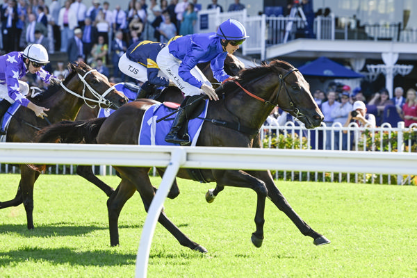 高多芬三歲馬王牌側面進擊