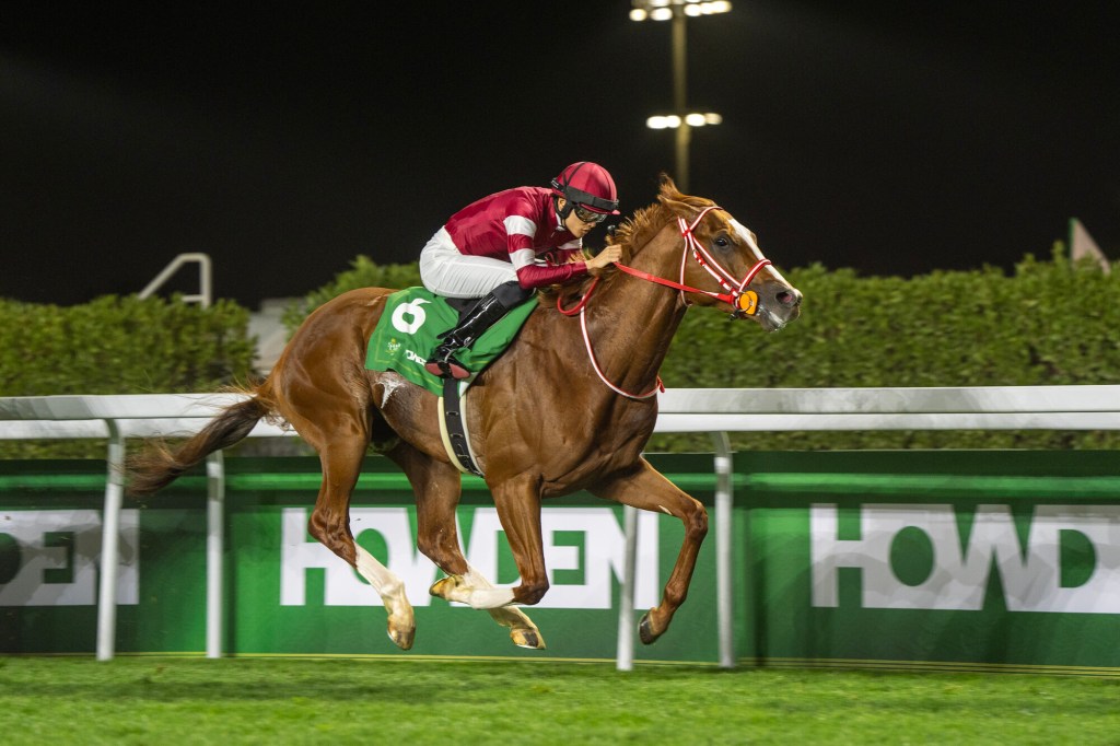 新未來城草地盃升格為一級賽