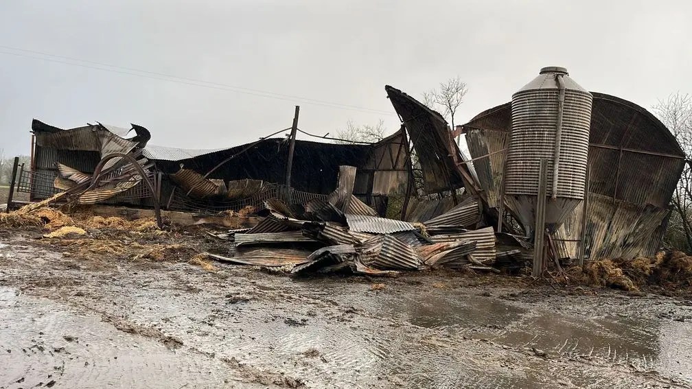 愛爾蘭育馬場Rathasker Stud疑遭農民縱火