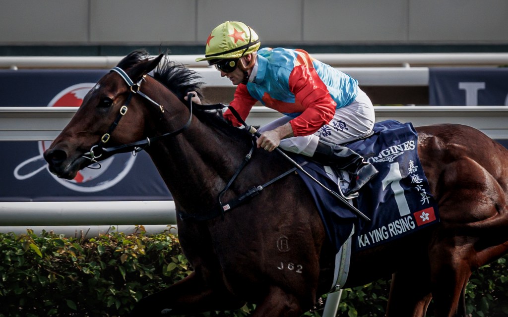 香港國際賽事出賽馬名單