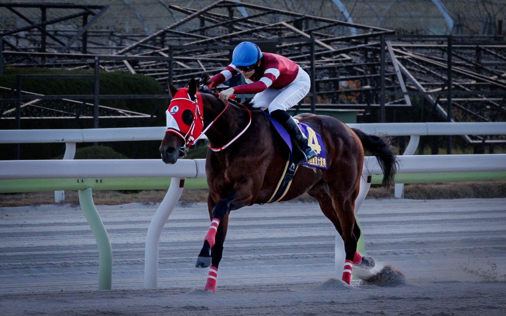 杜拜世界盃決心，能否稱霸到底？