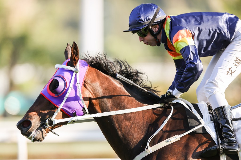 2025年6月22日賽馬日（11場田草、A跑道）