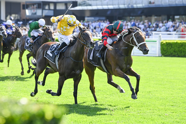 雍容爾雅錦標，精緻之道暖身之後繼續贏馬