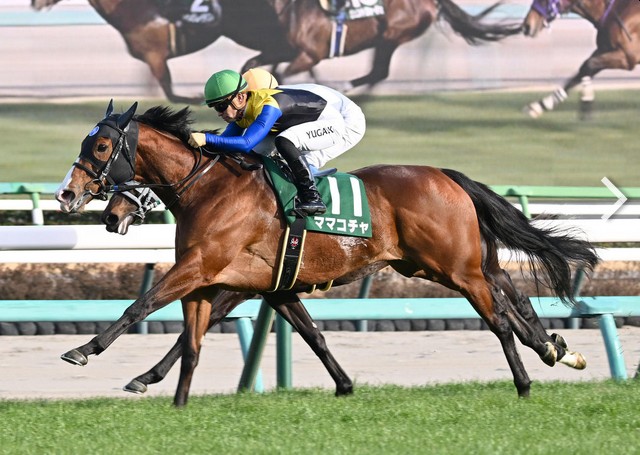 每日賽馬晚報（2025年3月1日），🇦🇺最激稱霸澳洲堅尼，🇯🇵大海之女海洋錦標重現勝利