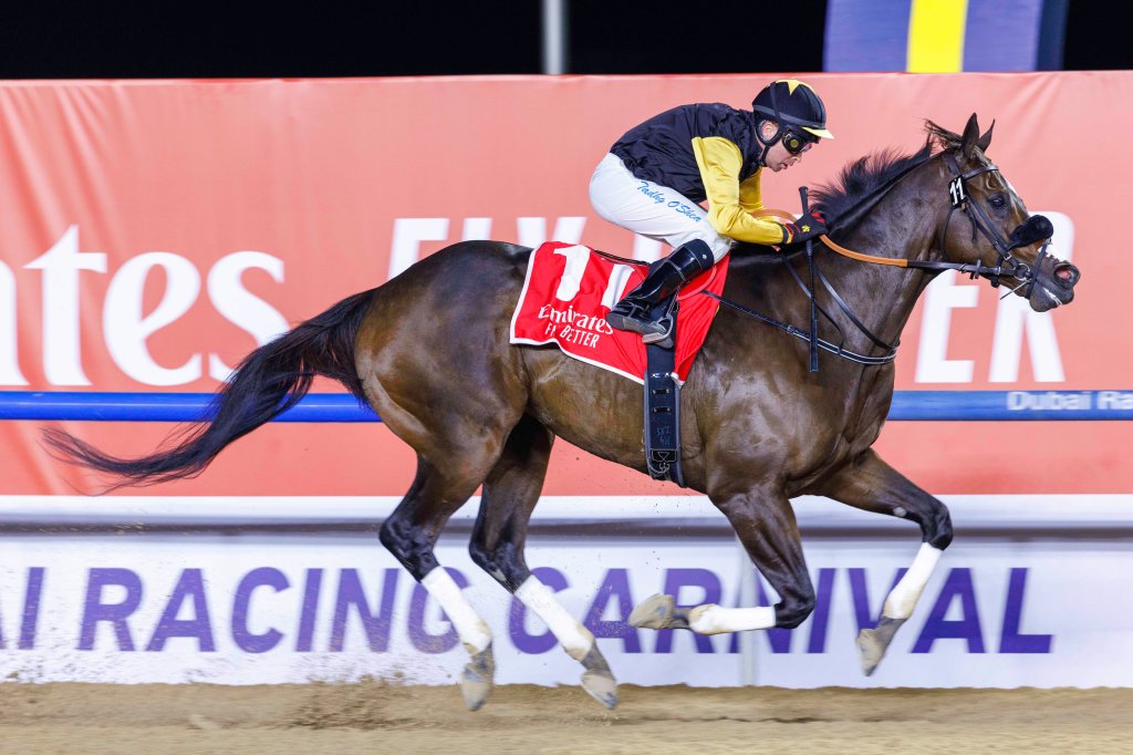 每日賽馬晚報（2025年3月4日），🇭🇰🇸🇦浪漫勇士來年仍有機會出戰沙地盃，🇦🇪天空之鏡北風錦標面對三歲馬照樣大勝