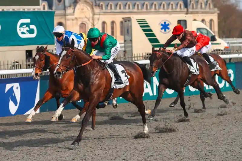 每日賽馬晚報（2025年3月10日），🇦🇺🇭🇰樂觀派或直接來港，🇫🇷Candelari或成歐洲大長途怪傑