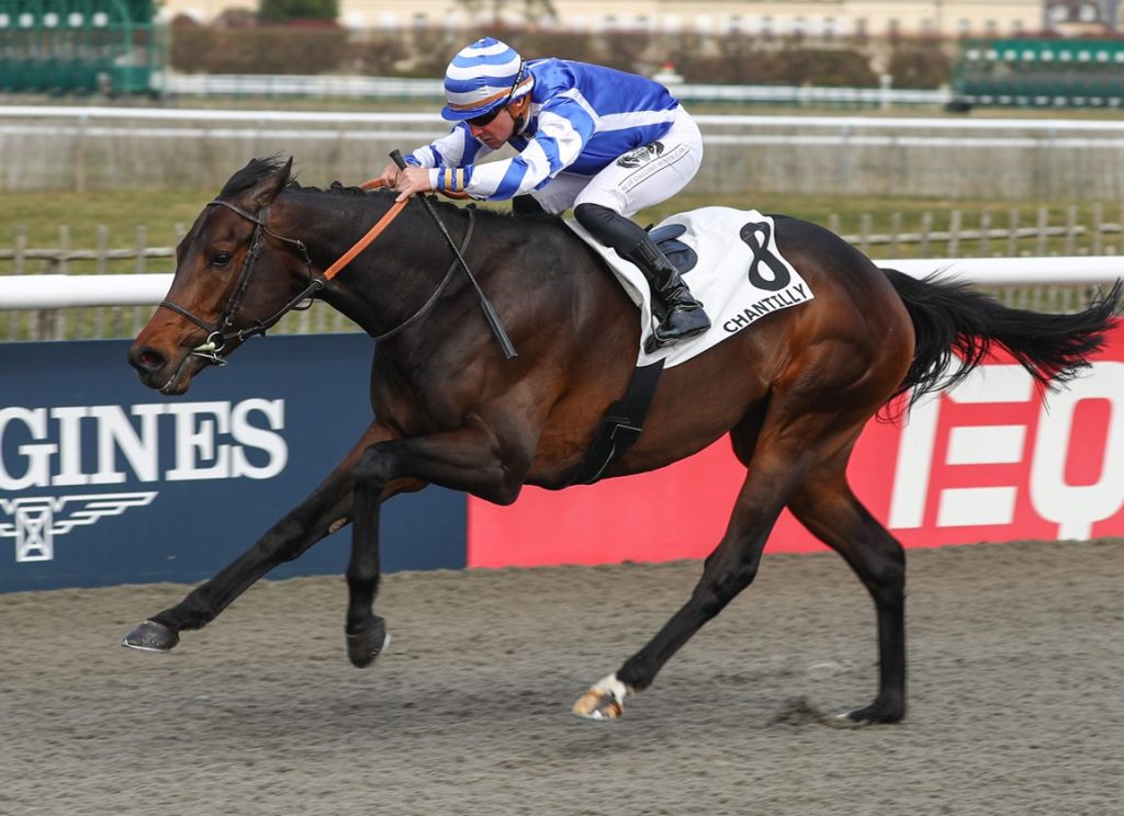 每日賽馬晚報（2025年3月11日），🇦🇪🇺🇸杜拜世界盃賽日美國增援，🇫🇷Tito Mo Cen法國表列賽輕鬆贏馬