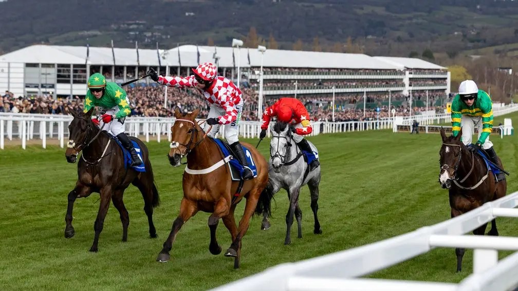 每日賽馬晚報（2025年3月12日），🇭🇰應家柏不滿今年拍賣會結果，🇬🇧Jango Baie意外撿到卓定咸頭馬