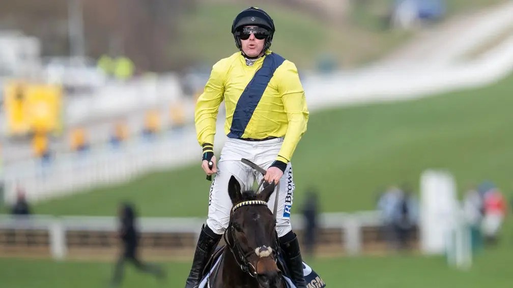 每日賽馬晚報（2025年3月13日），🇯🇵🇦🇪神志勇進確定進軍杜拜，🇬🇧Marine Nationale把握Jonbon失誤贏出皇太后冠軍障礙賽