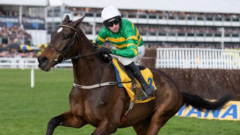 每日賽馬晚報（2025年3月14日），🇮🇪劍舞者錦標提前舉行，🇬🇧Fact to File贏完瑞安航空障礙賽有更大目標