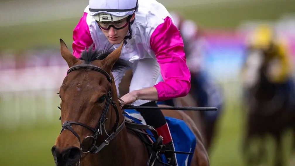 每日賽馬晚報（2025年3月17日），🇮🇪種馬Walk In the Park差點被閹掉，🇮🇪太空藍調子嗣初出即報捷