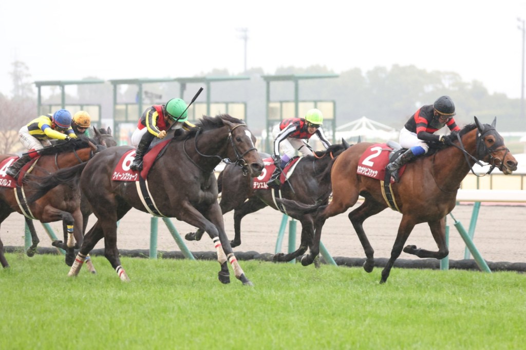 金鯱賞，皇后徑選對有理