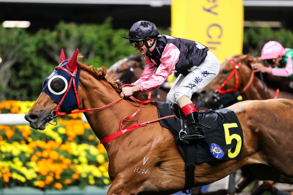 每日賽馬晚報（2025年3月20日），🇦🇺🇯🇵戴文高計劃去日本客串，🇭🇰美麗緣分取下季內第五勝