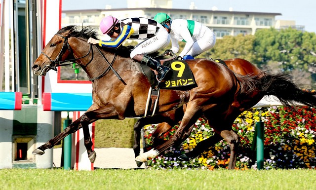 每日賽馬晚報（2025年3月22日），🇺🇸🇦🇪好精力正式參加杜拜世界盃，🇦🇺玄勝驥取下威廉烈特錦標勝利