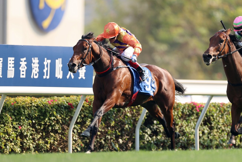 香港打吡大賽，百賀飛駒拆除未勝利之恥