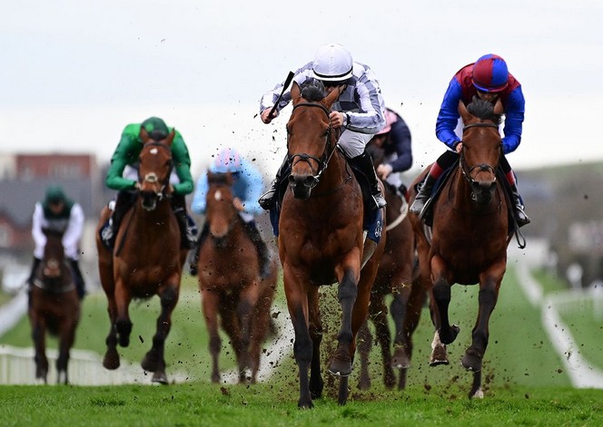 每日賽馬晚報（2025年3月24日），🇭🇰百賀飛駒大加19分，🇮🇪武豐有望參加葉森打吡？