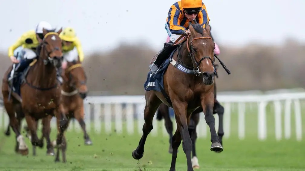 2025年5月17日東奔一萬錦標及樂景傑錦標賽事精選