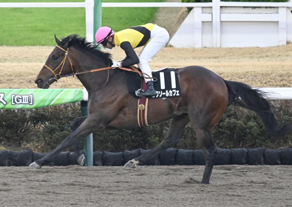 每日賽馬晚報（2025年3月29日），🇦🇺玫瑰崗容後再決豈止整個賽馬日，🇯🇵Luxor Cafe輕取伏龍進軍肯塔基