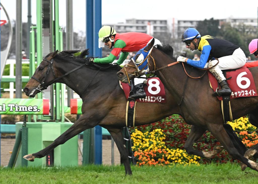 日經賞，Meiner Emperor良血登基