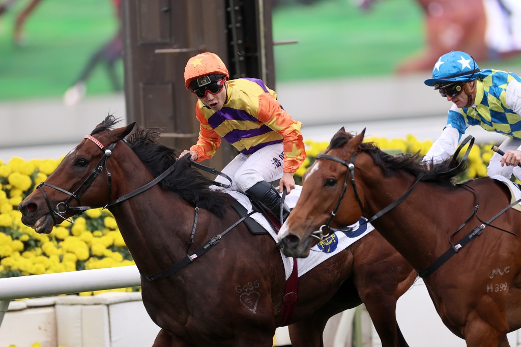 主席錦標，直線力山大突破