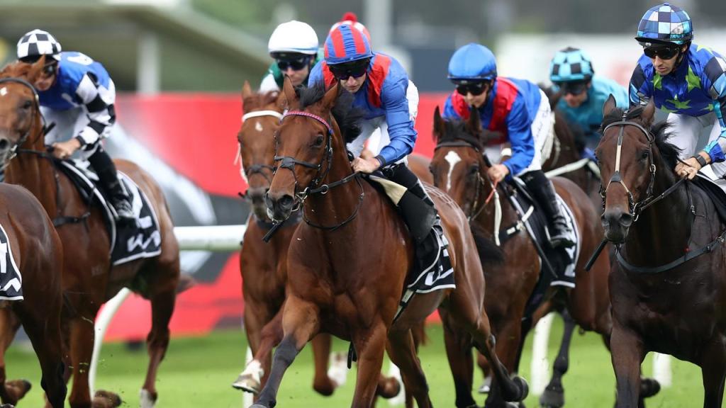 譽滿杜拜贏膠沙地表列賽再來香港