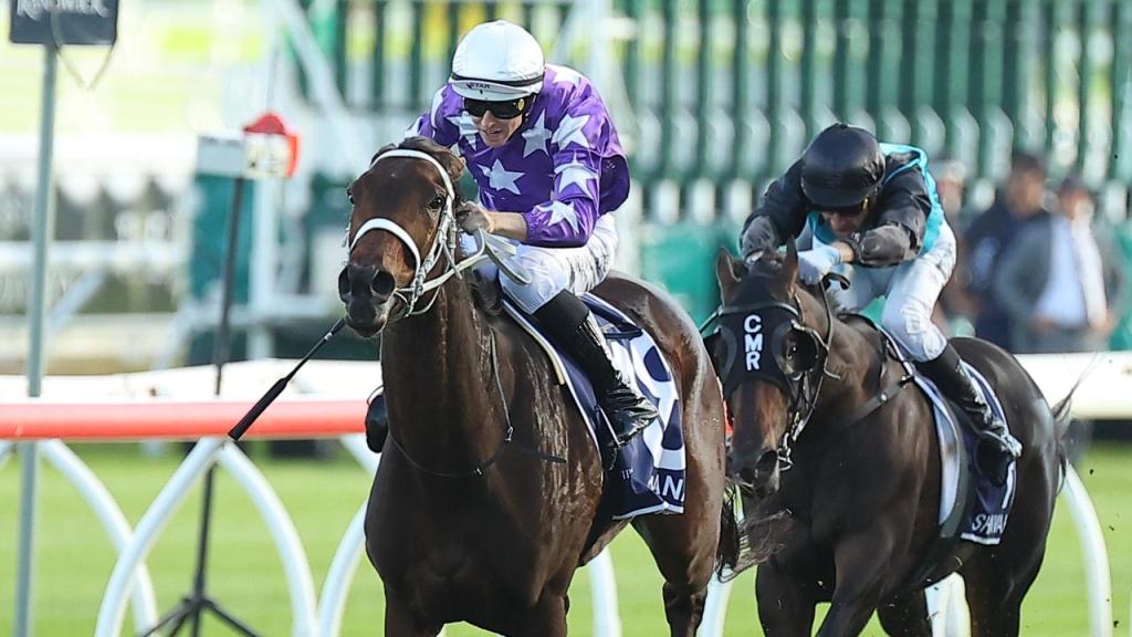 澳洲打吡，陽光小姐輕鬆大勝，將成香港自購馬星幻表現如何？