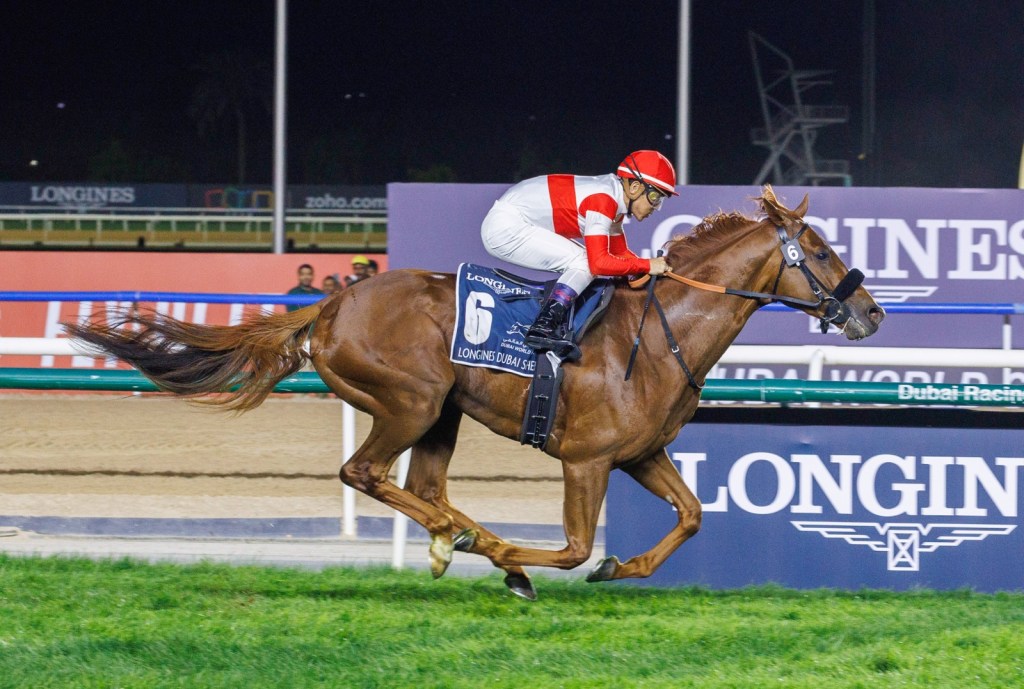 杜拜司馬經典賽,野田分位等機會突圍