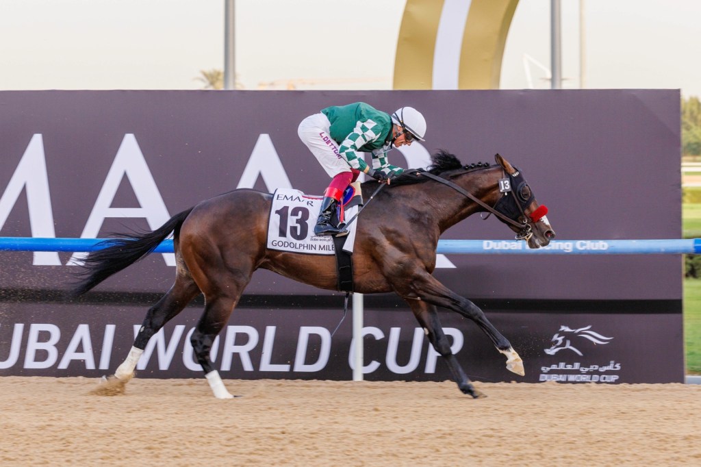 杜拜世界盃賽馬日非一級賽戰報,杜拜前景擊敗兩屆皇家橡樹冠軍,知足常樂面對好手即露底,喜飆速險獲肯塔基打吡參賽資格