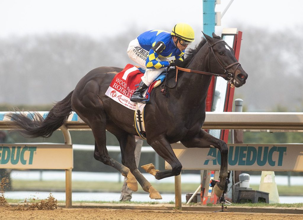 每日賽馬晚報（2025年4月6日），🇬🇧杜希利宣佈掛靴，🇺🇸巴富達Rodriguez雅佳特避開Journalism