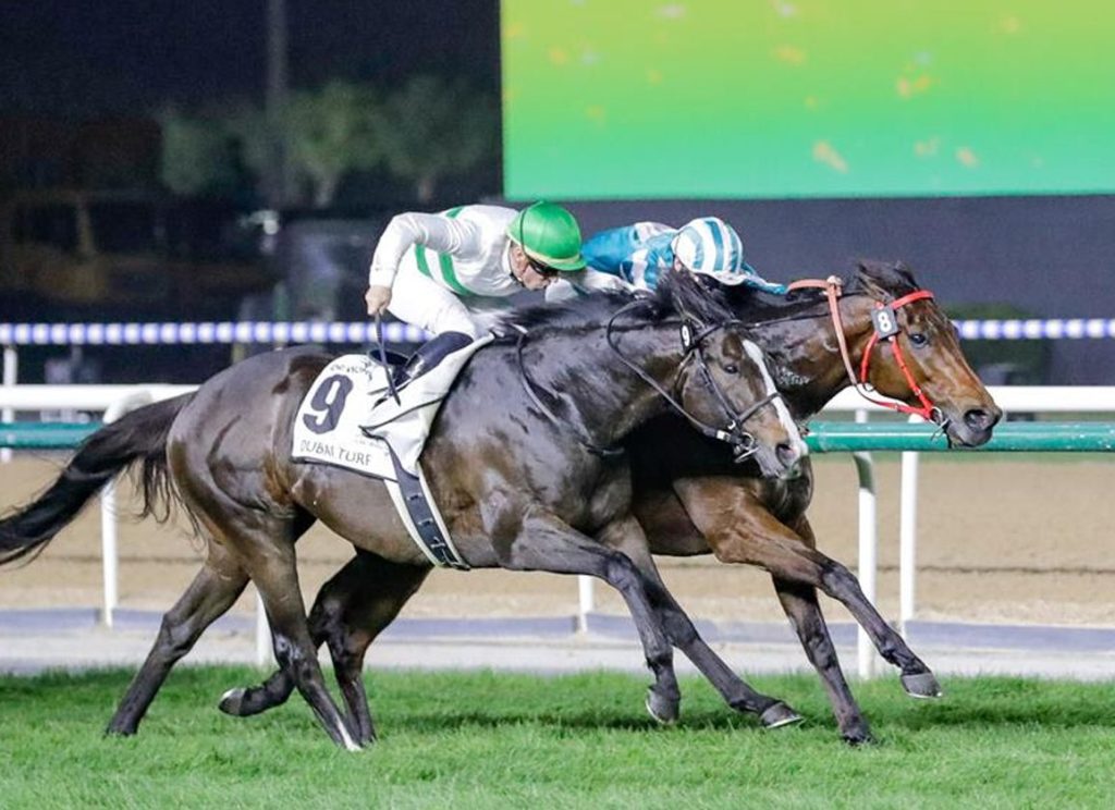 神志勇進以及寶徠歌劇獲邀參加國際賽並確定配搭