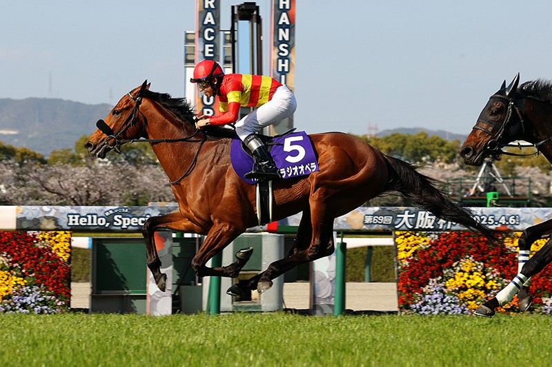 寶徠歌劇跑畢香港盃後退役