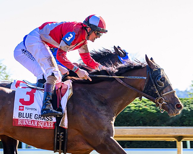 每日賽馬晚報（2025年4月9日），🇬🇧🇮🇪形於外五月復出，🇺🇸Burnham Square藍草錦標從後逆襲反勝