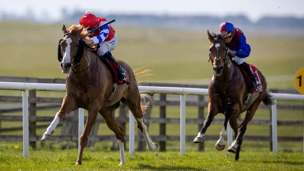 每日賽馬晚報(2025年4月13日),🇺🇸Carl Spackler及滿芳贏出堅蘭一級賽,🇮🇪唯肖唯妙被輕易擊破