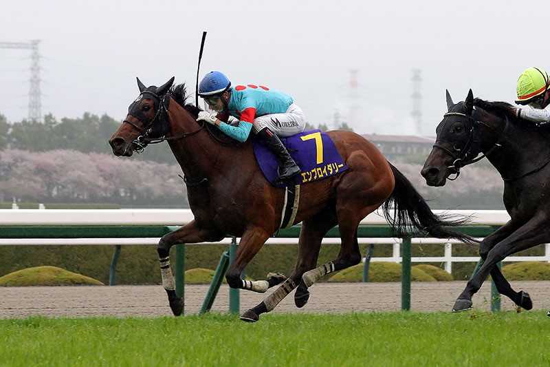 櫻花賞，巧繡生花雨中綻放