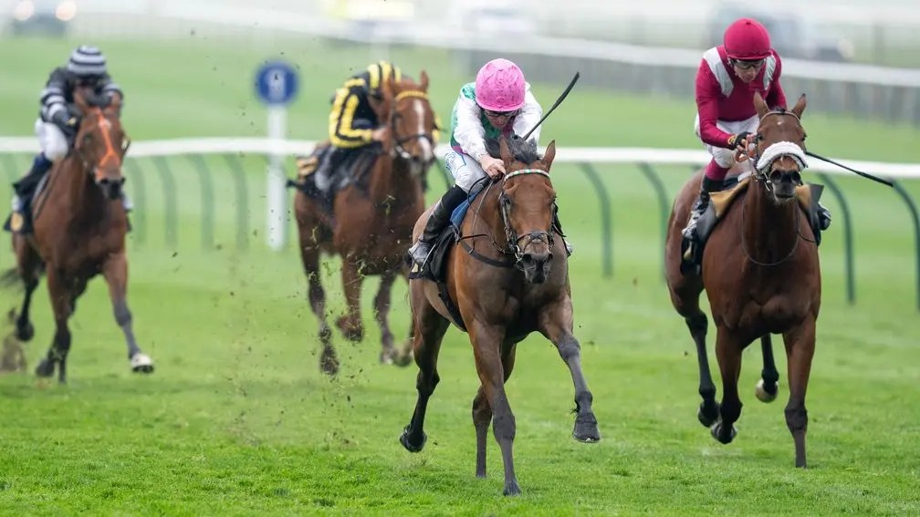 每日賽馬晚報(2025年4月16日),🇯🇵藤田菜七子掛靴後首次公眾露面,🇬🇧Zanzoun莉姬雲錦標勝利照以法國一千堅尼為目標