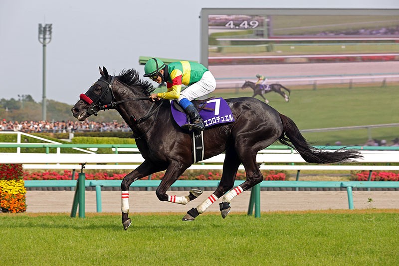 中山障礙大賽，Ecoro Duel鬥贏大逃兼避跌