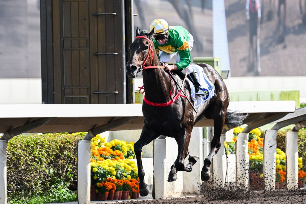 每日賽馬晚報（2025年4月20日），🇧🇭🇭🇰名俠馬主申請兩騎師均被拒，🇯🇵莫雷拉做埋Invincible Papa