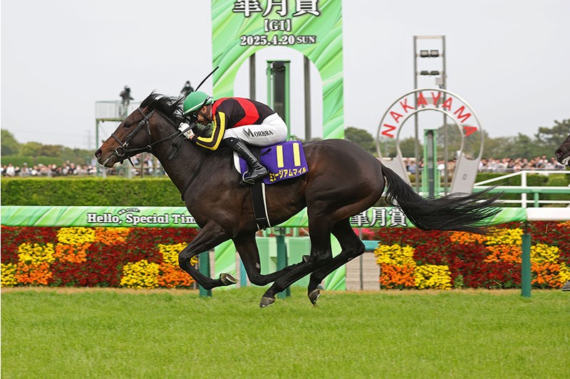 博物街直攻有馬紀念賽