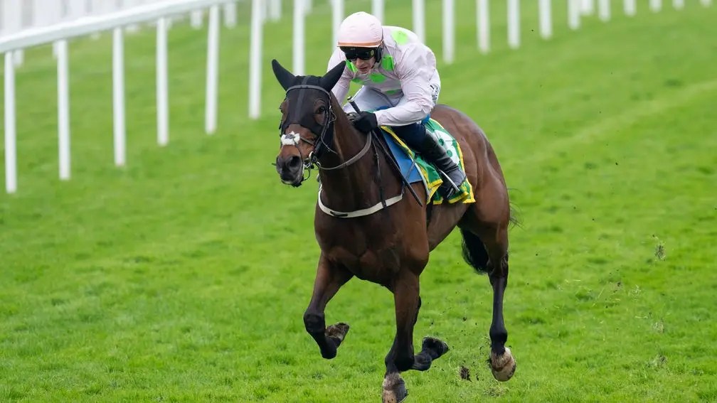 每日賽馬晚報（2025年4月27日），🇺🇸Tappan Street退出肯塔基打吡，🇬🇧🇮🇪莫威利精銳盡出再奪英國冠軍障礙賽練馬師