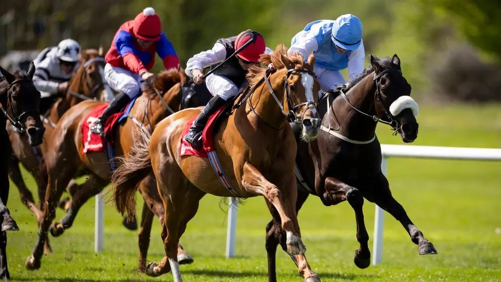 每日賽馬晚報(2025年4月28日),🇦🇺🇬🇧飛雀按計劃再遠征皇家雅士谷,🇮🇪饒舌達人復出即勝