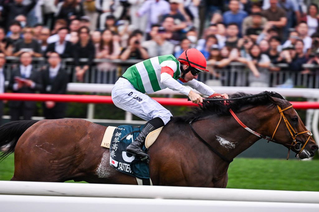 三歲馬的挑戰！秋季天皇賞迎擊！