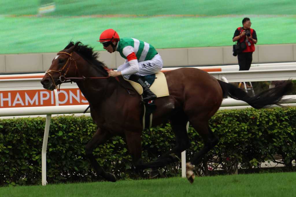 秋三冠皆勤鍵琴高奏跑畢有馬後退役