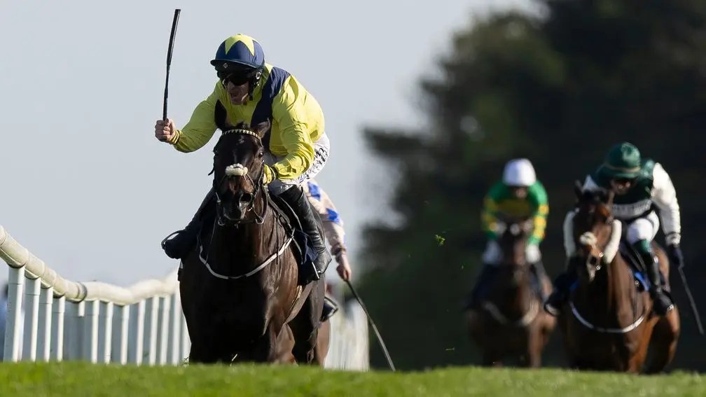 每日賽馬晚報（2025年4月30日），🇬🇧矮欄王大戰長途王戲碼有機會上演，🇮🇪🇭🇰紅運帝王育馬者一波三折找對買家