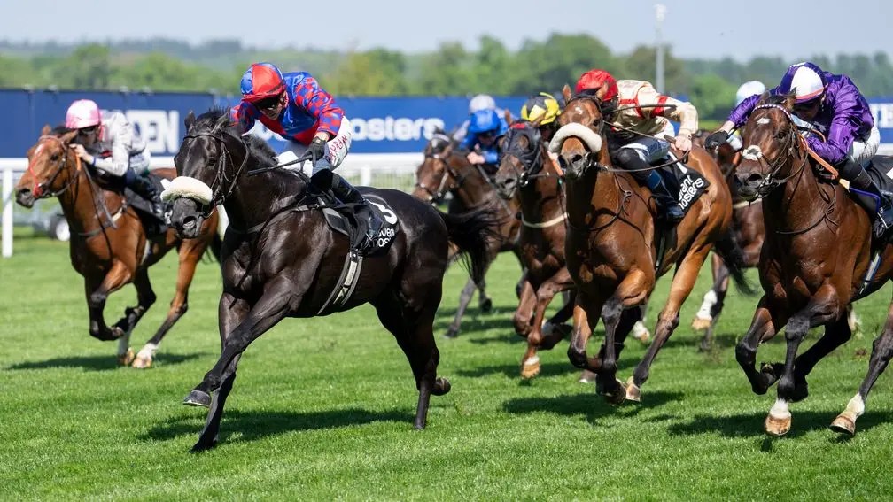 每日賽馬晚報（2025年5月1日），🇬🇧大魔將贏英聯邦盃預賽，🇮🇪Galopin des Champs品卓市金盃大勝