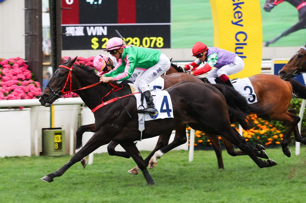 有目共賞能否替港隊馬保獎金名次？