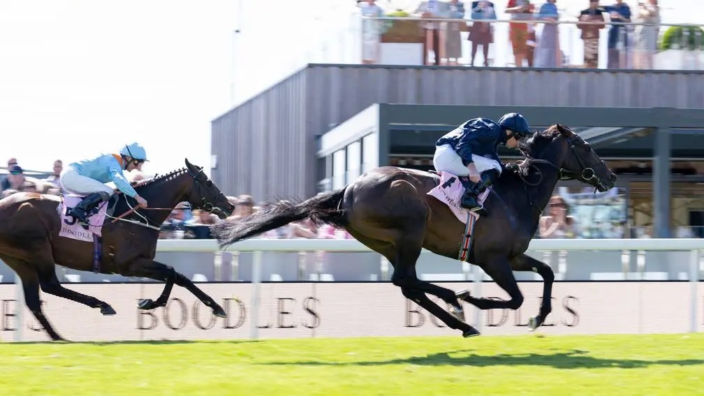 逍遙勁新目標聖列治錦標